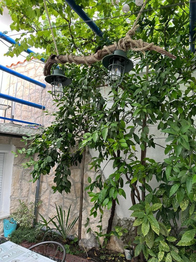 Vila Katica Bribir  Esterno foto