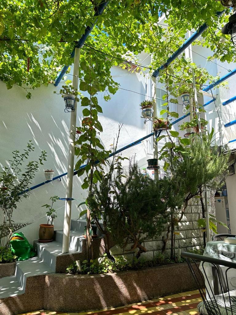 Vila Katica Bribir  Esterno foto